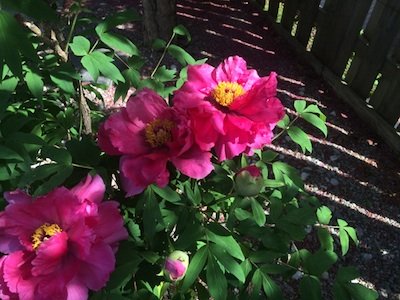 Choose to see the life